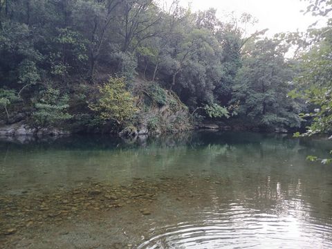 photo no. 7