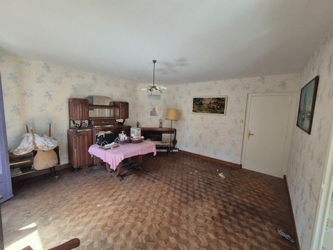 photo no. 4