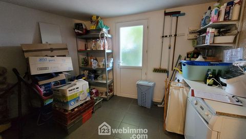 photo no. 11