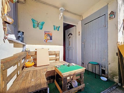 photo no. 11