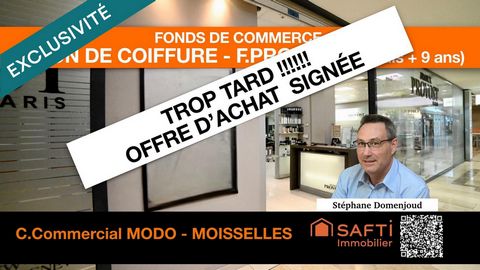 AFFAIRE EN OR AVEC FORT POTENTIEL - F.PROVOST - CENTRE MODO MOISSELLES