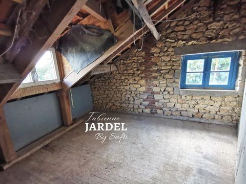 photo no. 10