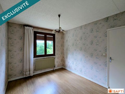 photo no. 9