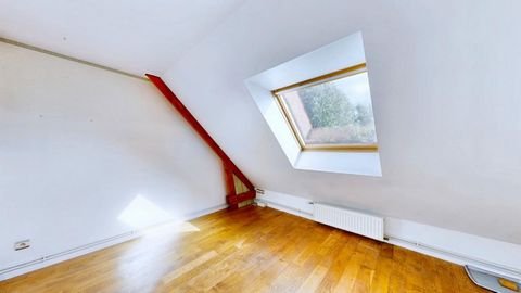 photo no. 8