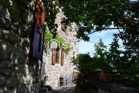 photo no. 4