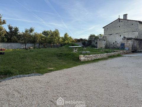 photo no. 13
