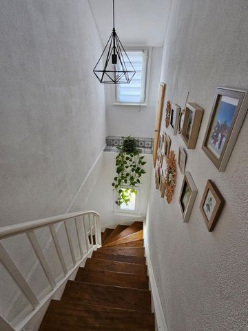 photo no. 6