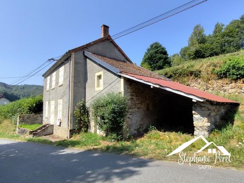 photo no. 6