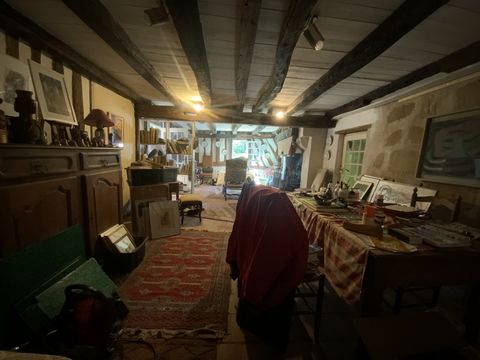 photo no. 6