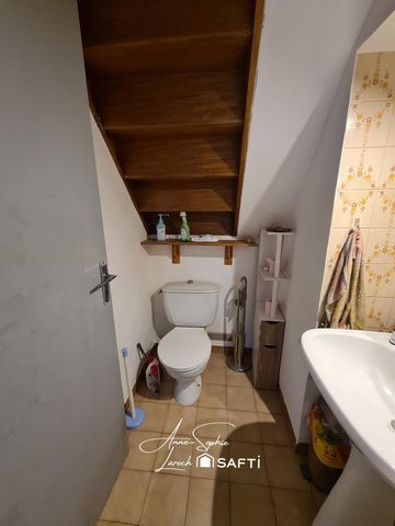 photo no. 10