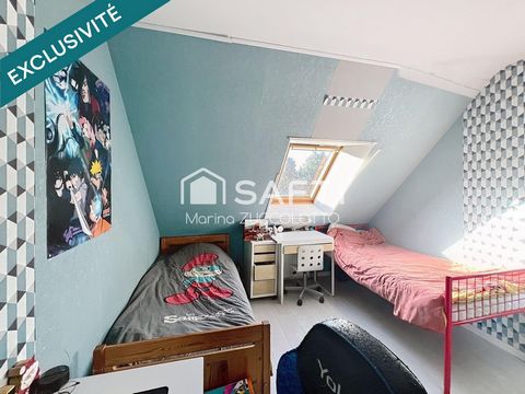 photo no. 12