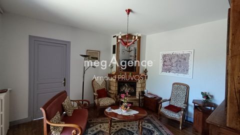 photo no. 8