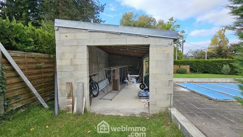 photo no. 13