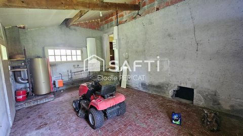 photo no. 15