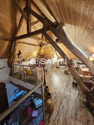 photo no. 13