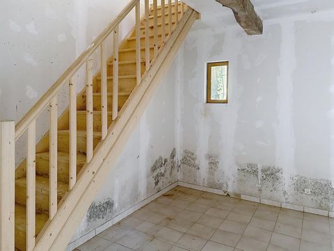 photo no. 12