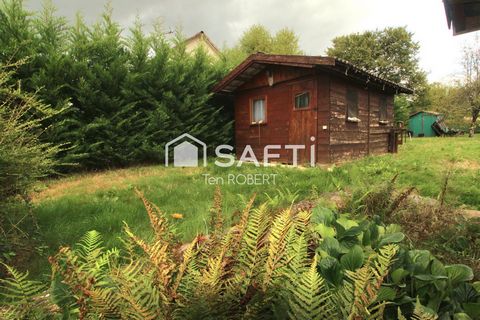 photo no. 11