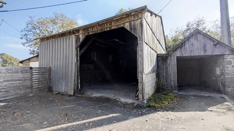 photo no. 12
