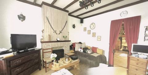 photo no. 9