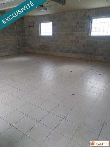 photo no. 17