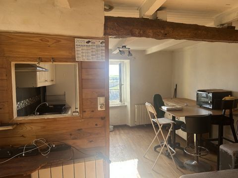 photo no. 16