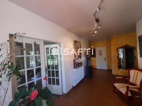 photo no. 10