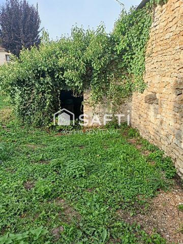 photo no. 16
