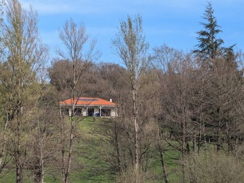 photo no. 21