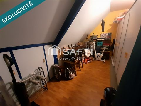 photo no. 12