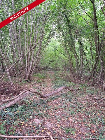 PARCELLE de BOIS 5500m² à 5 minutes de ORBEC