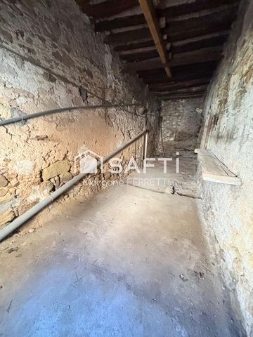 photo no. 15