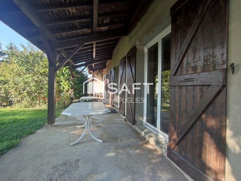 photo no. 12