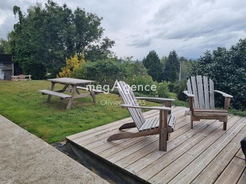 photo no. 15