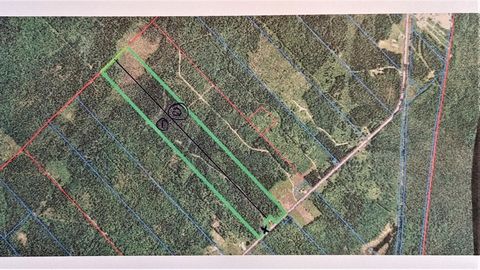 1/2 forest lot in white zone. 2,383,129 p² (54.7 acres) Construction fee. (lot number 1 on the matrix) INCLUSIONS -- EXCLUSIONS --