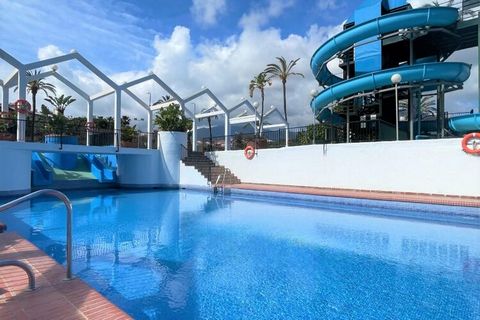 The apartment is fully equipped, has air conditioning, ceiling fans, washing machine, oven, coffee maker, hair dryer, free wifi. It is equipped with towels and sheets. It is located in a complex with 5 pools with slides (there is always a pool open a...