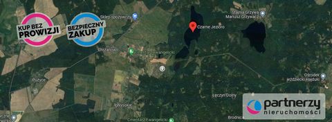 Groot agrarisch perceel nr. 113 met een oppervlakte van 32.500 m2 (3,25 ha) in de bufferzone van het bos binnen: Chrzanowo, Gemeente: Łęczyce In de nabijheid van weilanden en bossen die garant staan voor rust, stilte en ontspanning. De accommodatie i...