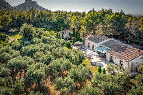 Located in the heart of the countryside in the heart of the massif, this olive-growing estate is located in the most beautiful village of the Alpilles and only 10 km from Saint-Remy-de-Provence. The property is located just 3 kilometers from the amen...