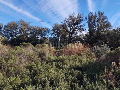 Ref 67425AG: Do you want to settle in Balagne, invest for an individual project or to create an estate intended for rental? This true haven of peace, located just 10 minutes from Ile Rousse, facing south, is a rare property on the market currently. A...