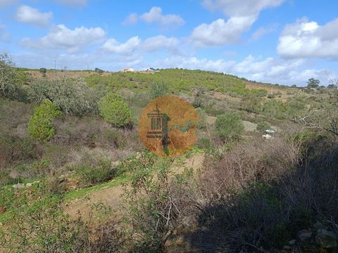 Rustic Land with 13.120m², Turner, Alcoutim - Algarve. Land with good access. Unobstructed view of the Algarve Mountains. Confronts the Waterline. Next to electricity. Land with lots of trees. Only 10 minutes from the village of Alcoutim. About 25 mi...