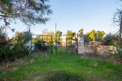 Coldwell Banker offers for sale, in the San Giacomo district, in the countryside of San Vito dei Normanni (BR), an ancient farmhouse/rustic of approximately 400 m2 dating back to the early 1900s, completely in need of renovation and currently in disu...