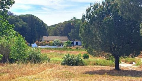 This fantastic property in Lucena Del Puerto is set in the Spanish countryside on the Costa del al Luz near the blue flage beaches of Huelva.  It offers an exceptionally large open terrain with a great outdoor kitchen area and BBQ patio, swimming poo...