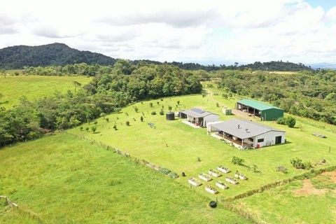 This 163.81 acre property offers lush and improved pastures at high altitude. Excellent grazing on this property is guaranteed by Setaria, Brachiaria, White Clover, Creeping Vigna, Pinto Peanut and lots more. Pastures have been regularly fertilized, ...
