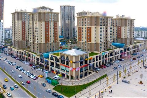 The project is perfectly located in Basaksehir, about 3 minutes from Kayasehir Boulevard and around 10 minutes from the O-7 Highway with E-80 connections. The project's location makes it an excellent place for potential business owners and investors....