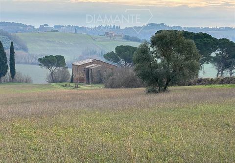 Castiglione del Lago (PG), Petrignano: Farm of approximately 30 hectares with farmhouse and annexes divided as follows: - 27 hectares approx. of arable land in irrigable hills ; - 2.5 hectares of woodland. - Farmhouse on two levels of approximately 2...