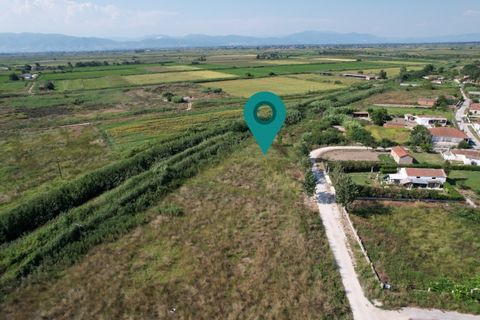 Property Code. 11303 - Plot FOR SALE in Keramoti Chaidefto for €58.000 Exclusivity. Discover the features of this 2164 sq. m. Plot: Distance from sea 3000 meters, Distance from nearest airport: 12000 meters, Building Coefficient: 0.18 Coverage Coeffi...