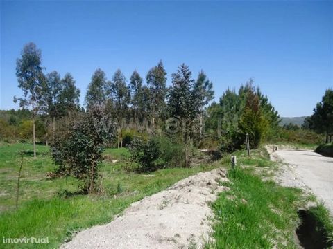 Land with a total area of 2,700m2 with trees for cutting intended for planting or cultivation with excellent access and excellent sun exposure
