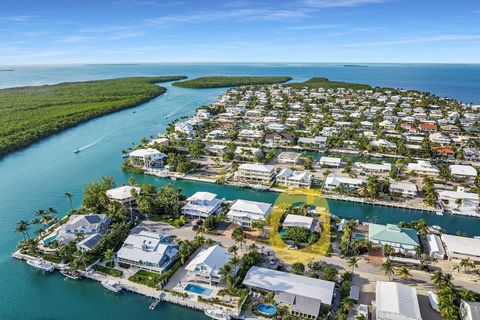 Peaceful Plantation in Venetian Shores, one of Islamorada's most desirable neighborhoods. This unique property is only 4 homes in from Snake Creek with immediate access to both the ocean and Florida Bay. The 100' dock, extra high pilings, and deep wa...