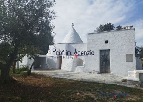 For sale is an interesting complex of trullo and lamia for renovation in the countryside of Carovigno. The trullo consists of a central cone and three large side alcoves and has an adjacent small lamia with a barrel vault consisting of a single room ...