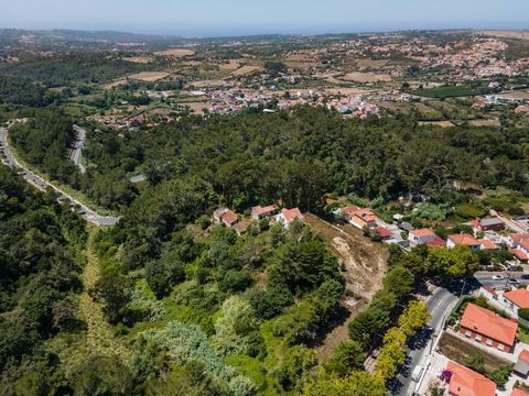 Quinta de Santo António ligger i byn Sintra, känd för närvaron av sin romantiska arkitektur, klassificerad som ett kulturlandskap i Sintra, ett UNESCO: s världsarv. Det ligger i ett centralt område med enkel tillgänglighet och inom gångavstånd från d...