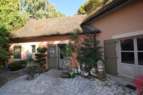 photo no. 2